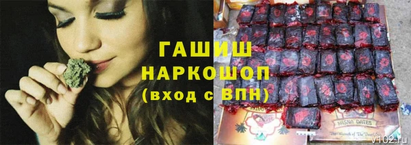 стафф Алзамай