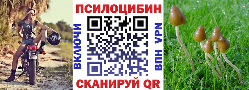 Псилоцибиновые грибы мухоморы  Елабуга 